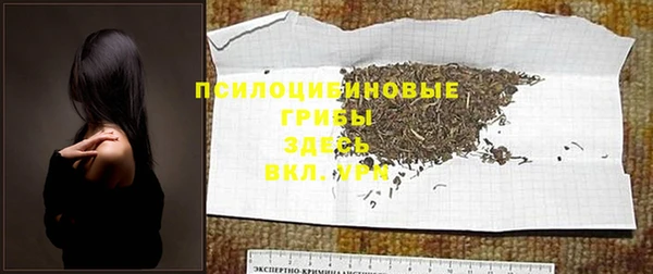 spice Богданович